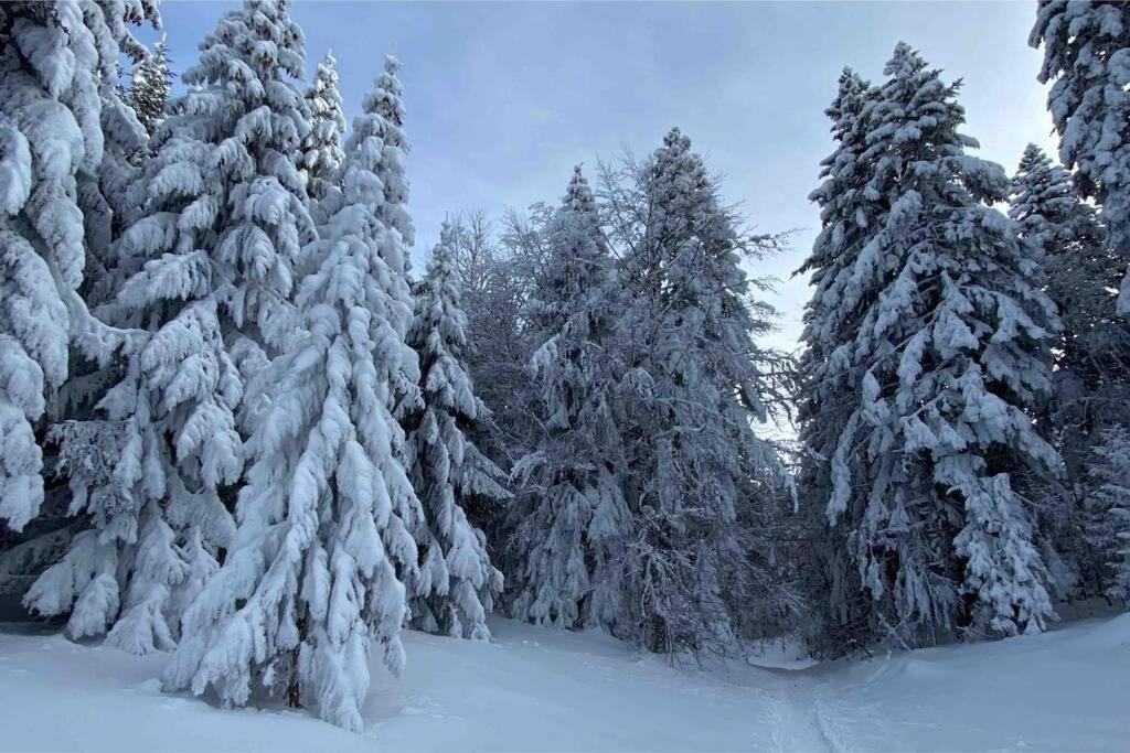 Le Boheme Beau T2 Vue Lac & Montagnes + Garage Annecy Zewnętrze zdjęcie